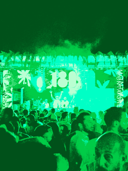 Mainstage Le 180 vert